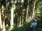 大野の山中