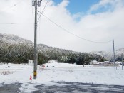 弊社事務所も雪に囲まれました。