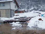 雪に埋もれてます。